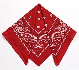 100% Cotton Paisley Printed Bandana Multi-Use <b>Head</b> Scarf & Neck <b>Wrap</b> - Product Image 3