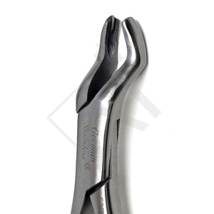 Forceps d'extraction dentaire plaqué or de qualité supérieure pour molaires supérieures droites, pinces d'extraction en acier inoxydable, instruments chirurgicaux buccaux - Product Image 3