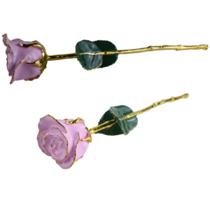 <b>Red</b> Enamel Real Rose Modern Design and Luxury <b>Box</b> Packing 24k Golden Combo Finishing Decor Best for <b>Gift</b> Natural Preserved Rose - Product Image 5