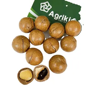 High quality macadamia nuts with the competitive price from Reliable Vietnam supplier +84 326055616