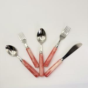 Nouvel arrivage : Ensemble de couverts de luxe modernes en acier inoxydable poli miroir de haute qualité avec manche en résine - Product Image 4