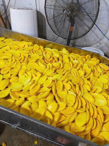 Mango Deshidratado Premium Sin SO2, Vietnam, Fruta Tropical Natural y Saludable, Proveedor de Exportación a Granel - Product Image 2