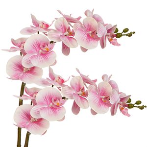 THAF-008 Tiges d'orchidées Phalaenopsis Premium au toucher réel, pétales en latex élégants et réalistes pour une décoration intérieure de luxe - Product Image 1
