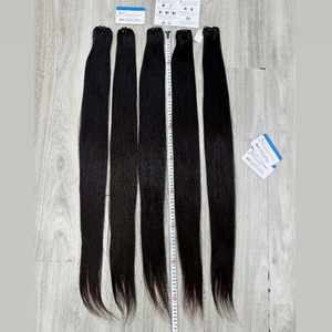 Extensiones de Cabello Humano Vietnamita Virgen de Primera Calidad, 100% Sin Procesar, Cutícula Alineada, Sin Enredos - Product Image 1
