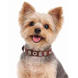 Plaque nominative coulissante personnalisée en gros avec alphabet décoratif pour chien, breloque pour animal de compagnie - Product Image 5