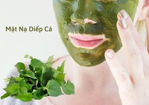 Feuilles de Heartleaf entières séchées pour les soins de la peau, emballage en vrac OEM, extrait de poudre de menthe poivrée pour les tisanes - Product Image 4