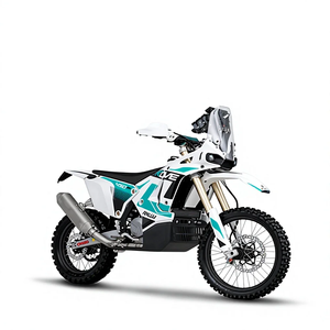 Motocicletas para Adultos 450 Rally EX 2026 de Alta Demanda con 3 Años de Garantía - Product Image 1