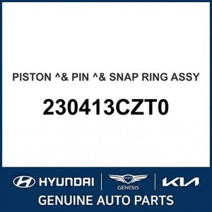 Nouveaux pistons et segments 230413CZT0 - Product Image 1