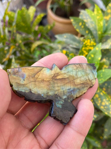 Labradorite Eagle Figurine | Hand Carved Crystal Bird <b>Statue</b> for Home Decor, Gifts & Collectors - Product Image 3