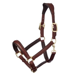 Classic Brown Leather Horse Halter with Polished Hardware Adjustable Fit High Quality Craftsmanship for Daily Use - Product Image 1