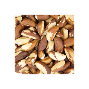 Nueces brasileñas al por mayor, suministro a granel, precio asequible, nueces de alta calidad - Product Image 6