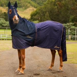 Couvertures d'hiver pour chevaux, imperméables, rembourrées en coton, qualité supérieure, prix de gros disponible, fournisseurs d'équipements équestres - Product Image 6