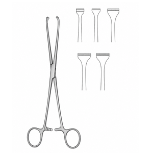 คีมจับเนื้อเยื่อ Vitra Instruments Babcock สำหรับการผ่าตัดลำไส้ |   เครื่องมือผ่าตัดสแตนเลสเกรดพรีเมียมแบบใช้มือ - Product Image 2