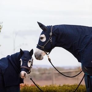 Manta Impermeable y Resistente para Caballos con Cubrecuello Desmontable - Product Image 5