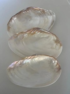Wholesale Supply <b>Mother</b> of Pearl Bowl Handmade Shell Mosaic Decorative Bowl for Home Decor Hotel and Restaurant for Sale - Product Image 3