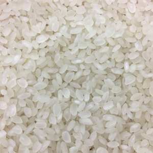 Riz Calrose biologique de qualité supérieure, directement de l'usine, riz à grains longs de qualité supérieure, vente en gros en vrac pour l'exportation, disponible dès maintenant en stock - Product Image 6