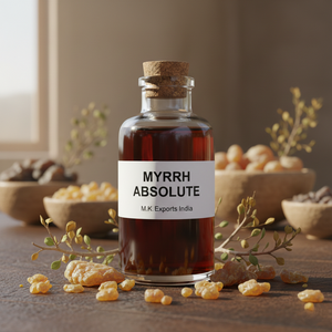 Aceite Absoluto de Mirra Pura 100% Natural, Extraído con Solvente, Resina de Commiphora Myrrha, Grado Aromaterapia, Venta al Por Mayor - Product Image 2