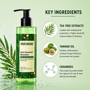 OEM Private Label Anti Dandruff Scalp Purifying <b>Shampoo</b> with Tea Tree and <b>Zinc</b> <b>Pyrithione</b> - Product Image 3
