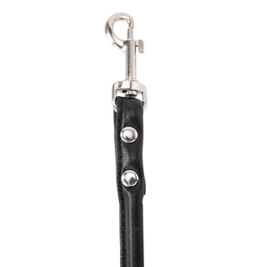 Laisse pour chien en cuir de qualité supérieure, fabriquée en usine avec des décorations rivetées, faible MOQ, pour usage extérieur, en vente. - Product Image 5