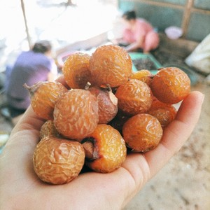 Bulk Natural Dried Soap Nuts Soapberry for Laundry <b>Detergent</b> Household Cleaning Export Quality Vietnam Supplier - Product Image 3