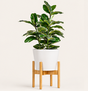 Support de plantes en bois de qualité supérieure, porte-pot de fleurs pour jardinières, support de sol écologique pour la décoration intérieure et de bureau - Product Image 3
