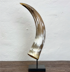Buffalo Horn Decorative Modern <b>Decoration</b> Double Natural Shape Long Buffalo Horn <b>Decoration</b> Pair - Product Image 6