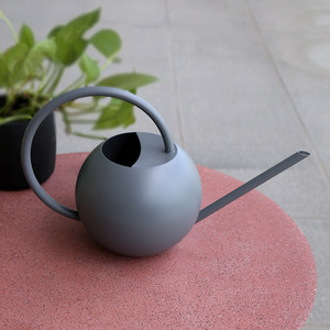 Arrosoir moderne <span class=keywords><strong>en</strong></span> acier inoxydable avec poignée <span class=keywords><strong>en</strong></span> bois, bec long, pour plantes d'intérieur, arrosoir de <span class=keywords><strong>jardin</strong></span> minimaliste nordique - Product Image 3