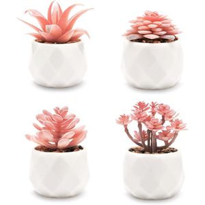 Piccole Piante Succulente Artificiali Rosa in Vaso di Ceramica Bianca, Decorazione per Interni, Giardino Femminile - Product Image 1