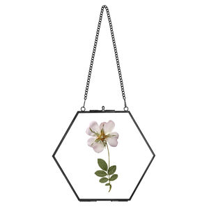 Marco de fotos colgante de latón dorado con doble cristal para exhibición de arte en pared, ideal para decoración del hogar y flores prensadas - Venta de fábrica - Product Image 5