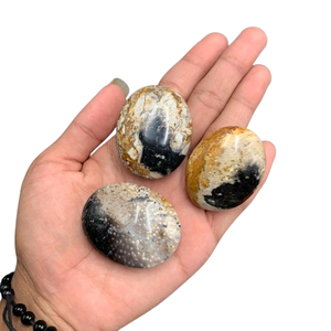 Pierre de palmier naturelle de qualité supérieure – Pierre de guérison polie à motif oculaire unique 45x35x15 mm - Product Image 4