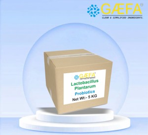 แลคโตบาซิลลัส พลานทารัม เกรดอาหาร ผงโปรไบโอติกแลคโตบาซิลลัส พลานทารัม - Product Image 2