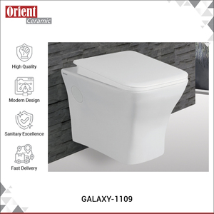 Inodoro de Cerámica Suspendido en la Pared, Diseño Atractivo, Calidad Estándar, Hecho en India, en Venta - Product Image 2