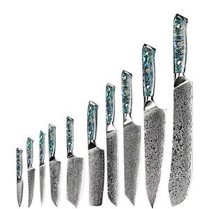 Juego de Cuchillos de Chef de 10 Piezas Hechos a Mano por Edge Master, Acero de Damasco de 33 Capas, Mango de Resina, Funda de Madera, Hoja Ambidiestra de 3.9 Pulgadas - Product Image 1