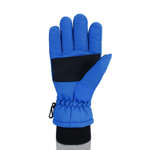 Gants de ski personnalisés avec logo, imperméables, thermiques, pour l'hiver, pour le snowboard, vente en gros, gants de ski imperméables doublés de polaire chaud - Product Image 5