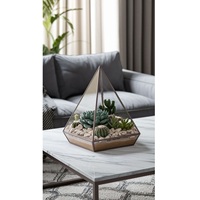 Terrarium en verre cristallin inspiré des cabanes, avec détails en fer doré, vase de table pour plantes aériennes et succulentes, design artistique