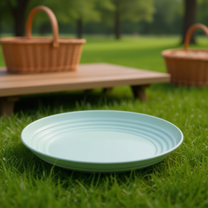 22cm Plastic Disposable <b>Tray</b> Disposable Plates - Product Image 2