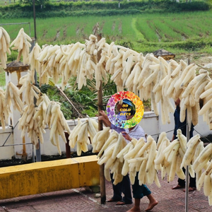 Éponge de loofah écologique pour la cuisine, tampon de nettoyage pour vaisselle / Éponge de loofah naturelle biologique brute fabriquée au Vietnam - Product Image 6
