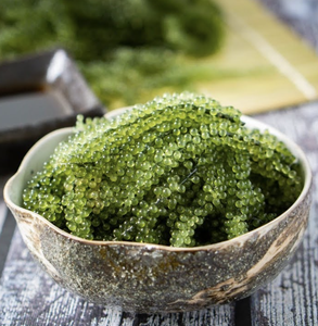 Algues de raisin de mer naturelles pour la décoration de plats gastronomiques et l'utilisation dans le service alimentaire, origine Vietnam - Product Image 6