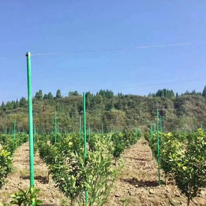 High Strength Solid Fiberglass FRP <b>Garden</b> Stakes Horticulture Fiberglass <b>Poles</b> Agriculture Fence Post Rods Custom Cutting - Product Image 2