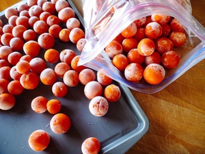 Tomate Congelado IQF en Cubos y Mitades, Vegetal Premium para Procesamiento de Alimentos, de Vietnam - Product Image 2