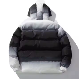 Blouson matelassé homme color block à capuche coupe-vent, manteau d'hiver standard, coupe droite, extérieur polyester, logo frontal, style urbain - Product Image 2