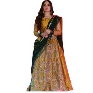 Lehenga de novia con bordado elaborado, traje de boda tradicional pakistaní, atuendo étnico de diseñador, conjuntos indios y pakistaníes - Product Image 1