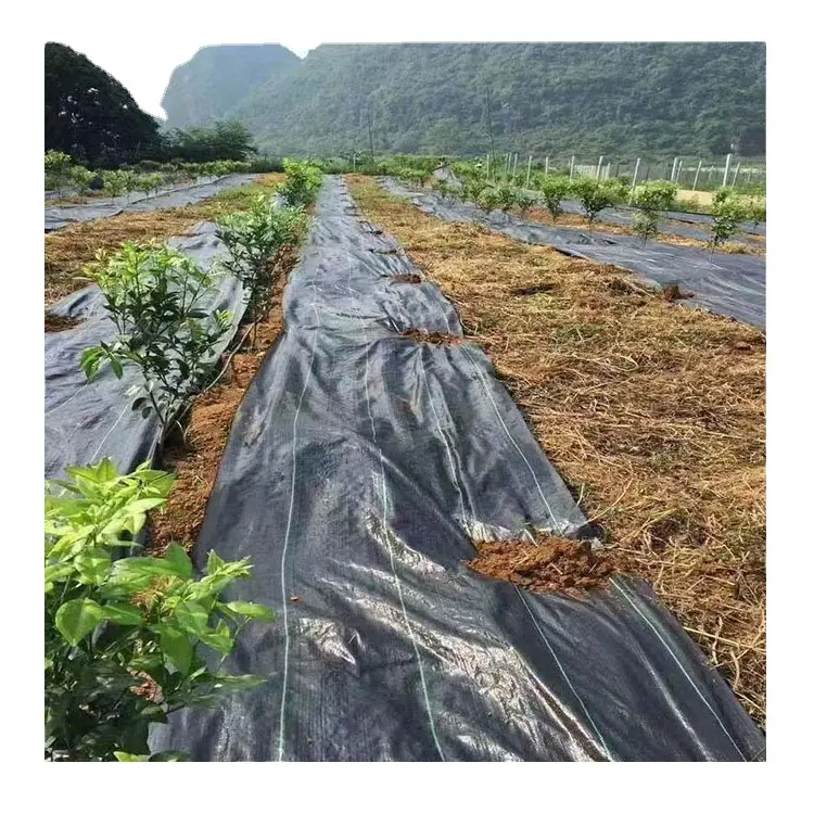 china factory PP Woven Membrane Ground Cover Anti Grass Weed Control Cloth Blocker Mulch Film Landscape Fabric Barrier Weed Mat