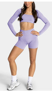 Nuevo Conjunto Deportivo Sin Costuras para Mujer, Cintura Elástica, Transpirable, Shorts Sin Costuras, Manga Larga, Conjunto de Yoga, Bra Deportivo Personalizado - Product Image 2