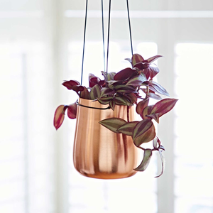 Maceta Colgante de Metal con Acabado en Cobre y Cables de Suspensión Negros, Maceta Cilíndrica Moderna para Plantas de Interior, Estilo Contemporáneo - Product Image 1