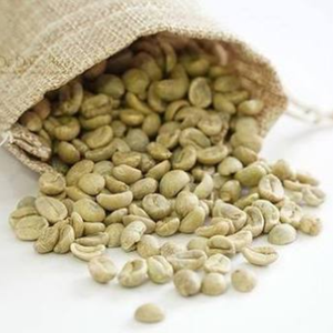 Bulk Vietnam <b>Robusta</b> <b>Coffee</b> <b>Beans</b> Natural Green Unroasted OEM ODM Export Grade <b>Coffee</b> Seed Moisture 12% Supply - Product Image 2