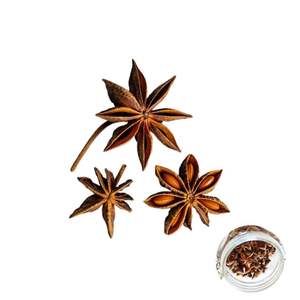 Alta Demanda, Estándar Internacional, Precio Económico, Más Vendido, Fábrica en Vietnam, Suministro a Granel de Cápsulas de Anís Estrellado Enteras - Product Image 2