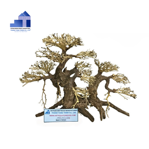 2025 producto superior ecológico manglar madera bonsái Driftwood bonsái árbol para decoraciones de acuario de Vietnam para mayoristas - Product Image 1