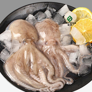 <span class=keywords><strong>Pulpo</strong></span> Congelado de Pierna Larga de Alta Calidad a Buen <span class=keywords><strong>Precio</strong></span> para Venta al por Mayor - Product Image 3