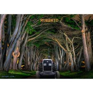 Tractor Massey Ferguson de bajo consumo de combustible MF 260 2WD 60 HP con motor turbo diésel para salida de alto par para agricultores nigerianos - Product Image 3